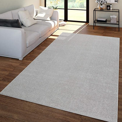 Paco Home Solid Area Rug in Silver Modern Plain Design, Size: 2' x 3'3"