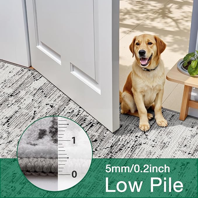 LUMI Washable Area Rug 8x10 for Living Room, Ultra Soft Stain Resistant Carpet with Non Slip Rubber Backing, Non-Shedding Low Pile Rugs for Bedroom, Dining Room, Indoor, Office