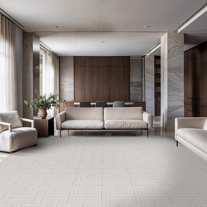 Micro Loop Indoor Rug White 10x14 Boho Geometric Neutral Area Rugs for Living Room Soft Luxury Modern Low and High Pile Durable Stain Resistant Non-Shedding Indoor Area Carpet 10 x 14