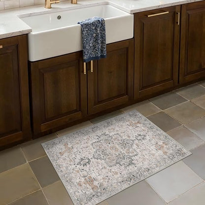 Area Rug 2x3 Doormat, Machine Washable Low Pile Rugs, Small Retro Entryway Mat for Entrance, Hallway, Kitchen and Corridor, Light Taupe Brown