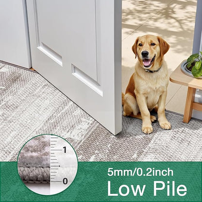 LUMI Washable Area Rug 5x8 for Living Room, Ultra Soft Stain Resistant Carpet with Non Slip Rubber Backing, Non-Shedding Low Pile Rugs for Bedroom, Dining Room, Indoor, Office