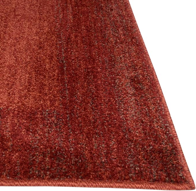 Rugs.com Angelica Collection Rug – 8' x 11' Terracotta Medium Rug Perfect for Living Rooms, Large Dining Rooms, Open Floorplans