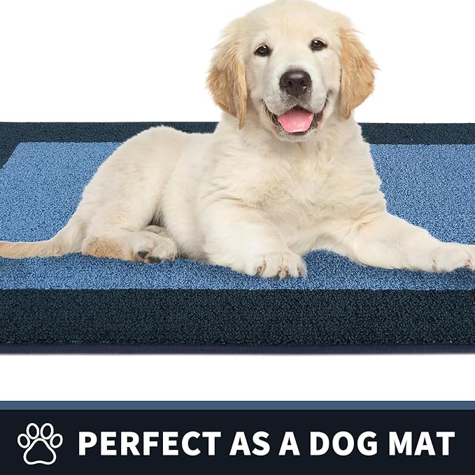 PURRUGS Dirt Trapping Door Mat 24" x 36", Non-Slip/Skid Machine Washable Entryway Rug, Shoes Scraper, Throw Rug, Super Absorbent Area Rug for Muddy Wet Shoes and Paws, Light Blue & Navy