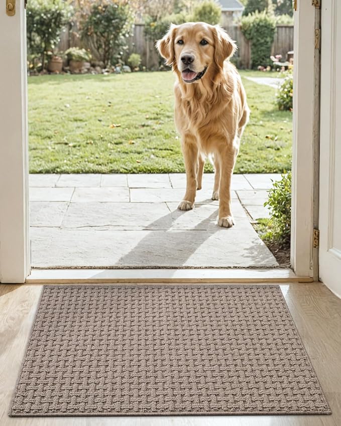 DEXI Front Entryway Door Mat Non Slip 17x30, Washable Entry Way Mats Inside Entrance Low Profile, Welcome Doormat Dirt Trapper for House Floor Home Porter Hall Backdoor Area, Light Taupe