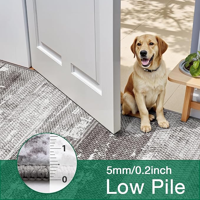 LUMI Washable Area Rug 5x8 for Living Room, Ultra Soft Stain Resistant Carpet with Non Slip Rubber Backing, Non-Shedding Low Pile Rugs for Bedroom, Dining Room, Indoor, Office