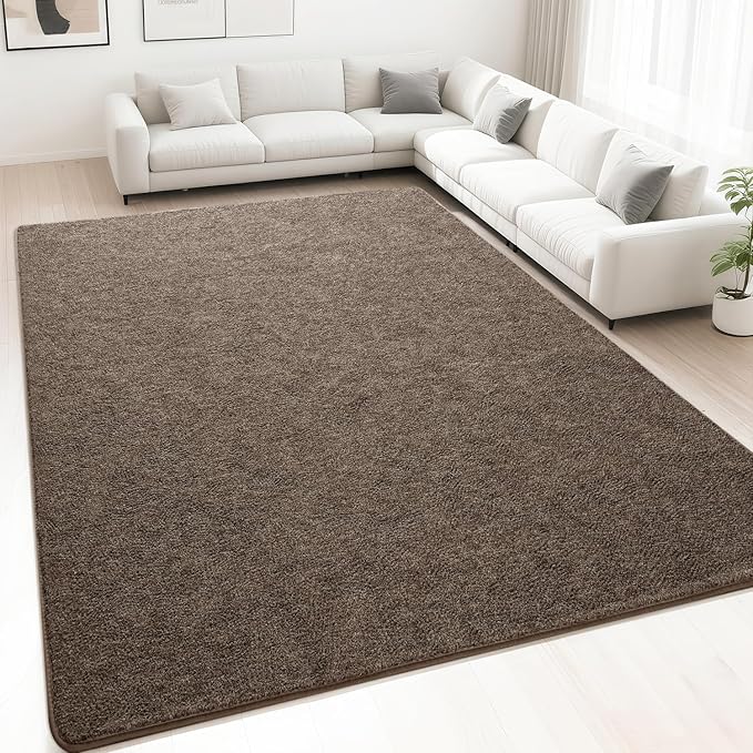 HQAYW 6x9 Large Area Rugs for Living Room Bedroom, Modern Thickened Memory Foam Soft Rug, Low Pile Minimalist Washable Non Slip Carpets for Kids Girls Boys Nursery Dorm Home Decor, Brown