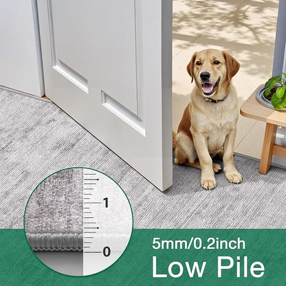 LUMI 4x6 Washable Low-Pile Area Rug for Living Room, Ultra Soft Modern Neutral Grey Rugs Non Slip with Rubber Backing, High Traffic, Stain Resistant Carpets, Ideal for Bedroom, Dining Room