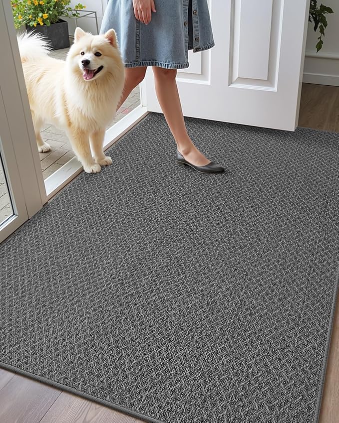 Color&Geometry Ultra Thin Indoor Door Mat Non Slip Rubber Backed Dirt Trapper 48"x72"(Rolled-up NO Creases), Rugs for Entryway, Front Door Mat Indoor Washable Low-Profile Entry Mat, Grey