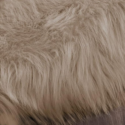 Latepis Light Brown Beige Living Room Rugs Faux Sheepskin Fur 5x7 Area Rugs for Bedroom Fluffy Washable Rug Large Plush Fuzzy Floor Rug Home Decor Rectangle