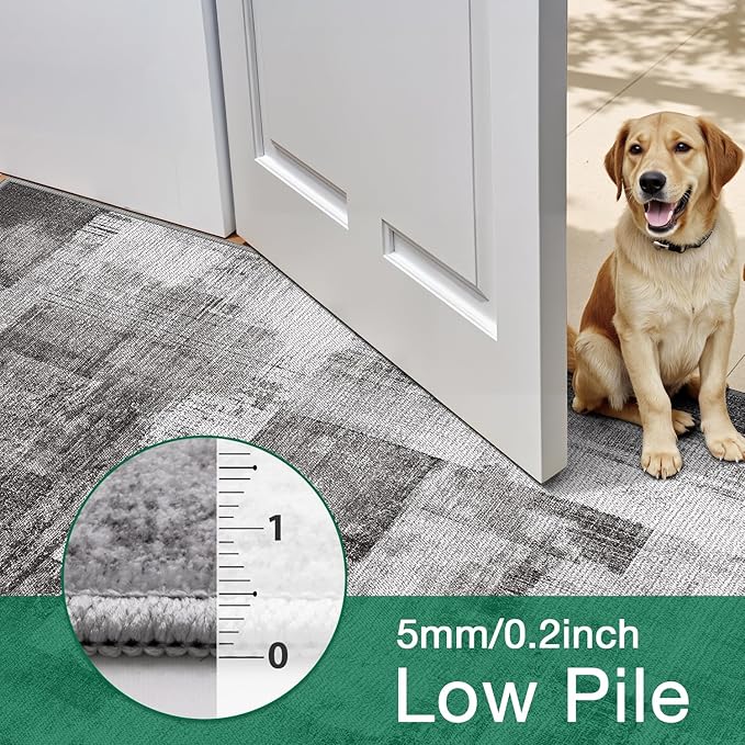 LUMI 4x6 Washable Low-Pile Area Rug for Living Room, Ultra Soft Modern Neutral Grey Rugs Non Slip with Rubber Backing, High Traffic, Stain Resistant Carpets, Ideal for Bedroom, Dining Room