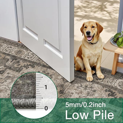 LUMI Washable Area Rug 5x8 for Living Room, Ultra Soft Stain Resistant Carpet with Non Slip Rubber Backing, Non-Shedding Low Pile Rugs for Bedroom, Dining Room, Indoor, Office