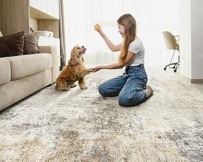 5x7 Area Rug Living Room Rugs - Washable Neutral Modern Abstract Soft Thin Large Rug Indoor Floor No Slip Rug Carpet for Bedroom Under Dining Table Home Office Decor - Golden Grey