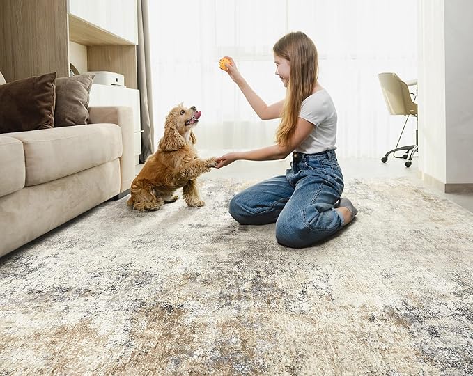 9x12 Area Rug Living Room Rugs - Washable Neutral Modern Abstract Soft Thin Large Rug Indoor Floor No Slip Rug Carpet for Bedroom Under Dining Table Home Office Decor - Golden Grey