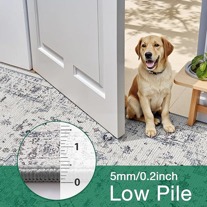 LUMI 4x6 Washable Area Rug for Living Room, Ultra Soft Traditional Rugs Non Slip with Rubber Backing, Low Profile, High Traffic, Stain Resistant Carpets, Ideal for Bedroom, Dining Room, Indoor