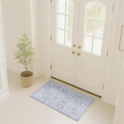 Turkish Rug. Washable Vintage Oriental Antique Inspired Traditional Doormat Small Modern Area Rugs Luxury Entryway Entry Bedroom Bathroom Kitchen (393VG, 2' x 3')