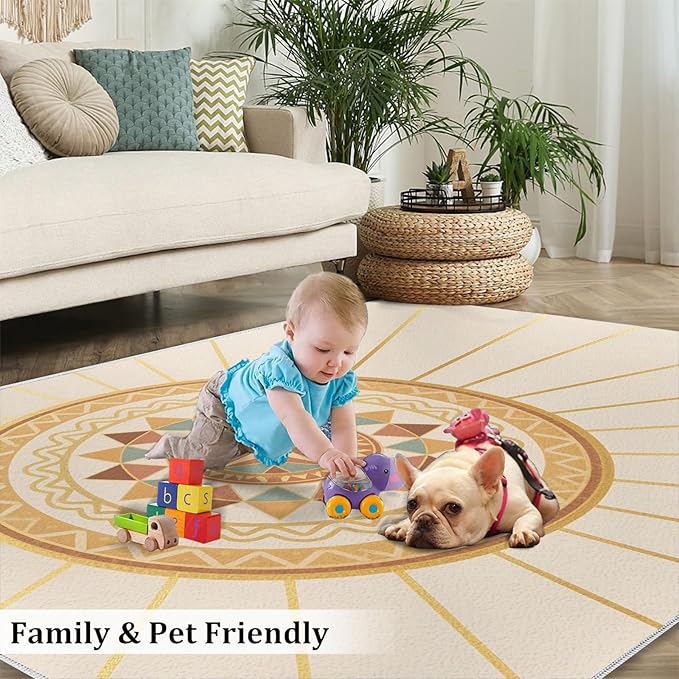 Boho Sun Area Rugs 4x6ft, Minimalist Line Carpet for Bedroom, Geometric Solar Rug for Living Room Easy to Clean for Indoor Outdoor Hardwood Floors Home Decor