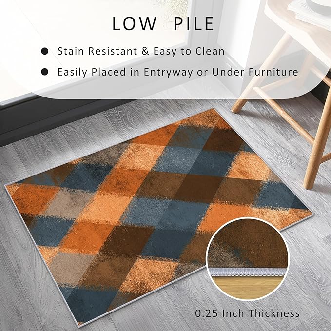 Checkered Geometric Rug, Washable 5x6 Rug for Living Room, Modern Abstract Patterned Indoor Carpet, Checkered Geometric Decor for Home, Bedroom, Soft Non Slip Thin Design FER47