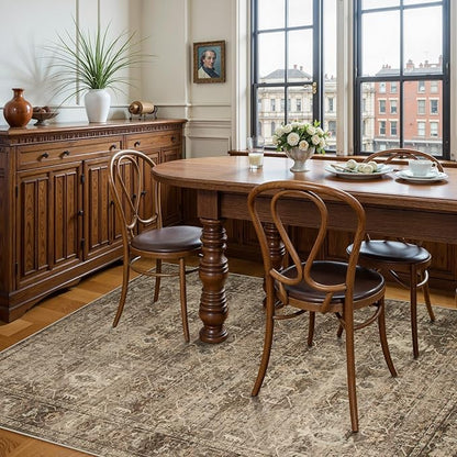 Lahome Vintage 6x9 Washable Brown Rugs for Living Room Bedroom, Soft Dining Room Rugs for Under Table, Non Slip Indoor Throw Carpet for Entryway Kitchen Office (6x9ft,Brown)