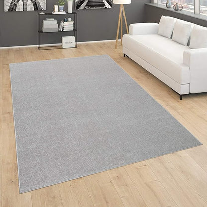 Paco Home Solid Area Rug in Silver Modern Plain Design, Size: 4'7" x 6'7"