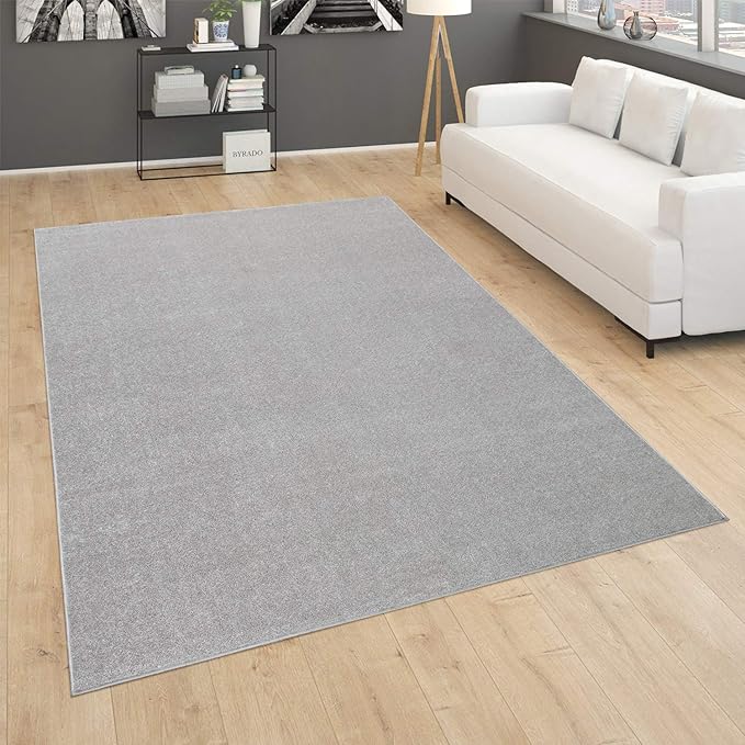 Paco Home Solid Area Rug in Silver Modern Plain Design, Size: 4' x 5'7"