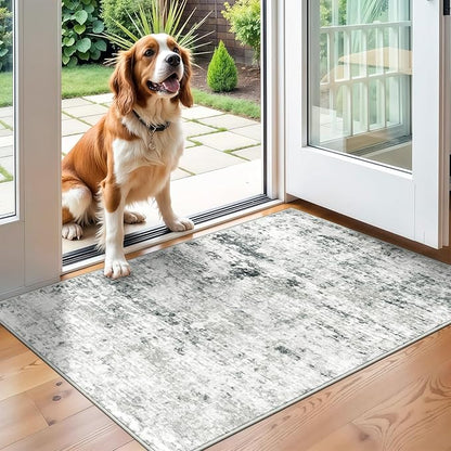 2x3 Machine Washable Area Rug for Entryway, Grey Modern Vintage Abstract Rug Non-Slip Low Pile Soft Faux Wool Small Carpet, Kids and Pets Friendly for Bedroom Kitchen Hallway Home Decor Rug