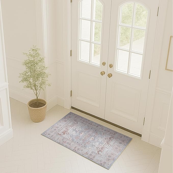 Turkish Rug. Washable Vintage Oriental Antique Inspired Traditional Doormat Small Modern Area Rugs Luxury Entryway Entry Bedroom Bathroom Kitchen (403CC, 2' x 3')