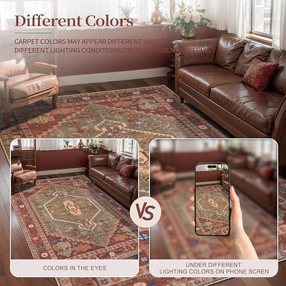 Ciicool Small Area Rug, 2x3ft Boho Rug, Ultra Soft Entry Rugs for Entryway, Non-Slip Washable Rugs Oriental Low-Pile Indoor Mat Floor Carpet for Entrance Bedroom Kitchen Bathroom Foyer Decor