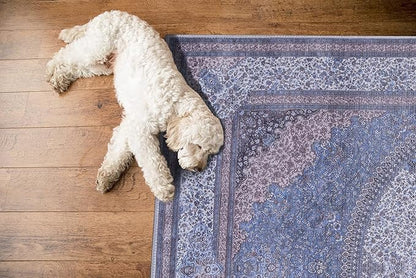GLN Rugs Traditional Collection - Machine Washable Area Rug, Traditional Washable, Non Slip, Low Pile Chenille Rug, Living Room, Bedroom, Kitchen Rug (8' x 10' Navy/Off White)