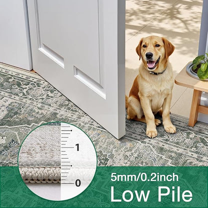 LUMI Washable Area Rug 8x10 for Living Room, Ultra Soft Stain Resistant Carpet with Non Slip Rubber Backing, Non-Shedding Low Pile Rugs for Bedroom, Dining Room, Indoor, Office