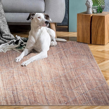 GLN Rugs Contemporary Collection - Machine Washable Area Rug, Contemporary Washable, Non Slip, Low Pile Chenille Rug, Living Room, Bedroom, Kitchen Rug (3' x 5' Terra/Brown)