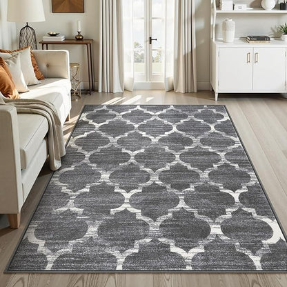 Lahome Moroccan Washable Area Rugs for Living Room - 4x6 Rug Non-Slip Lightweight Soft Bedroom Carpet Throw Low-Pile ‎Stain Resistant Entryway Rug, Grey Print Modern Rug for Office Kitchen Dining Room