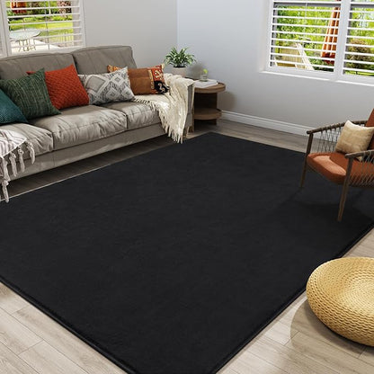 Amearea Modern Area Rugs for Bedroom Living Room, 4x6 Feet Black Thickened Memory Foam Rug, Fluffy Indoor Washable Rugs Non Slip Minimalist Carpet for Kids Boys Girls Dorm Nursery Room Decor