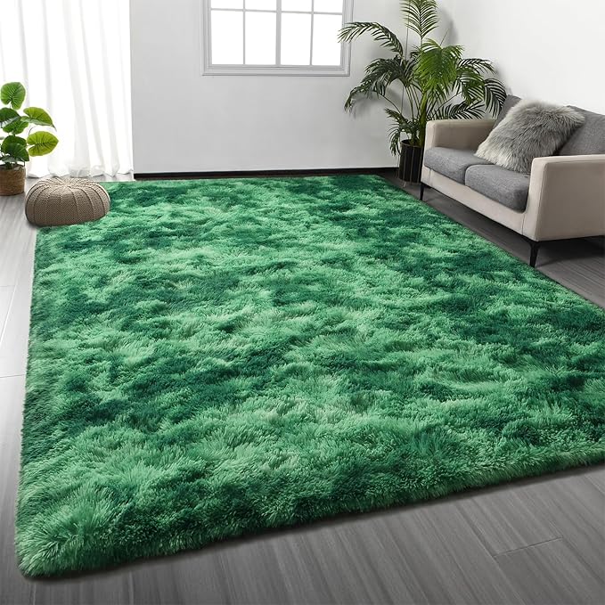 Large Shag Area Rugs 6 x 9, Plush Fuzzy Rugs for Living Room, Ultra Soft Fluffy Furry Rug for Bedroom, Indoor Carpet Nursery Rugs for Kids Room Home Decor, Tie-Dyed Emerald Green