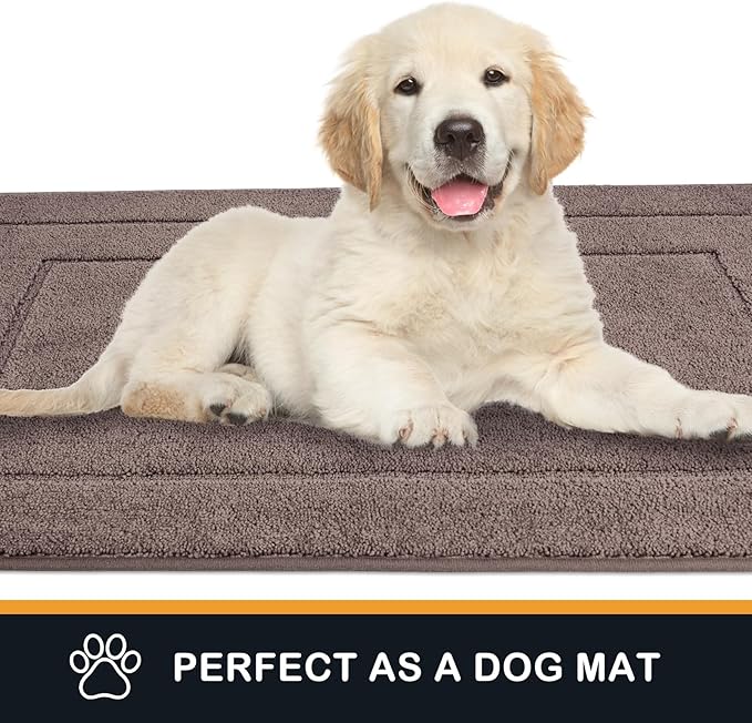 PURRUGS Dirt Trapping Door Mat 34" x 59", Non-Slip/Skid Machine Washable Entryway Area Rug, Dog Doormat, Super Absorbent Welcome Mat for Muddy Wet Shoes and Paws, Grayish Brown