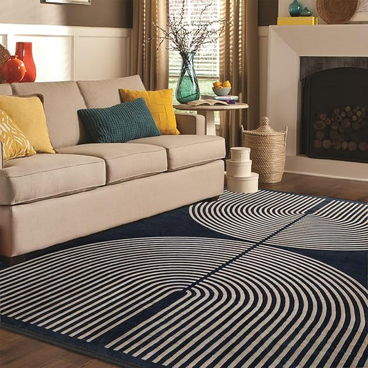 Modern Rainbow Area Rug 5x7 Black Cozy Soft Stain Resistant Non-Slip Non-Shedding Washable Rug, Farmhouse Rug for Living Room Dining Room Bedroom Balcony