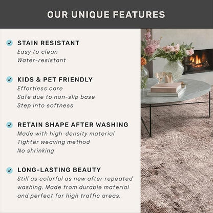 Brown and Red 3x5 Large Washable Entryway Rug, Vintage Home Décor, Low Pile Non Slip Area Rug for Kitchen, Laundry Room, Bedroom Beside Bed, Medallion Abstract Stain Resistant Carpet