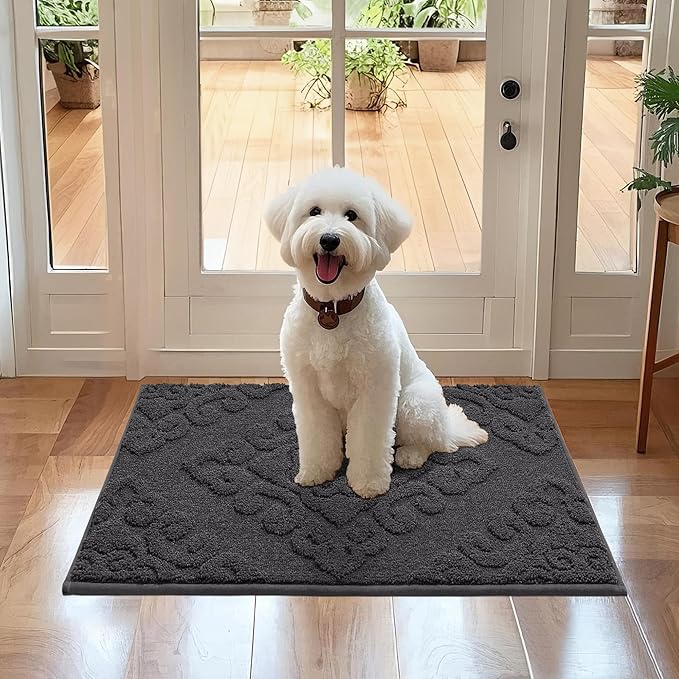 COSY HOMEER Door Mat 20”x32”,Absorbent Dirt Trapper Entryway Rugs,Non-Slip Welcome Mat,Washable Entry Rugs,Low Pile Doormat for Front Back Door,Wet Shoes & Paws,Dark Grey