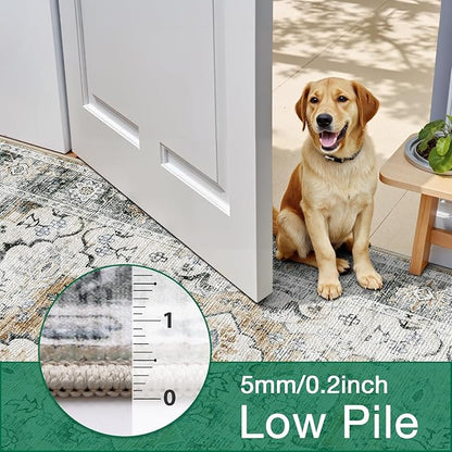 LUMI Washable Area Rug 5x8 for Living Room, Ultra Soft Stain Resistant Carpet with Non Slip Rubber Backing, Non-Shedding Low Pile Rugs for Bedroom, Dining Room, Indoor, Office