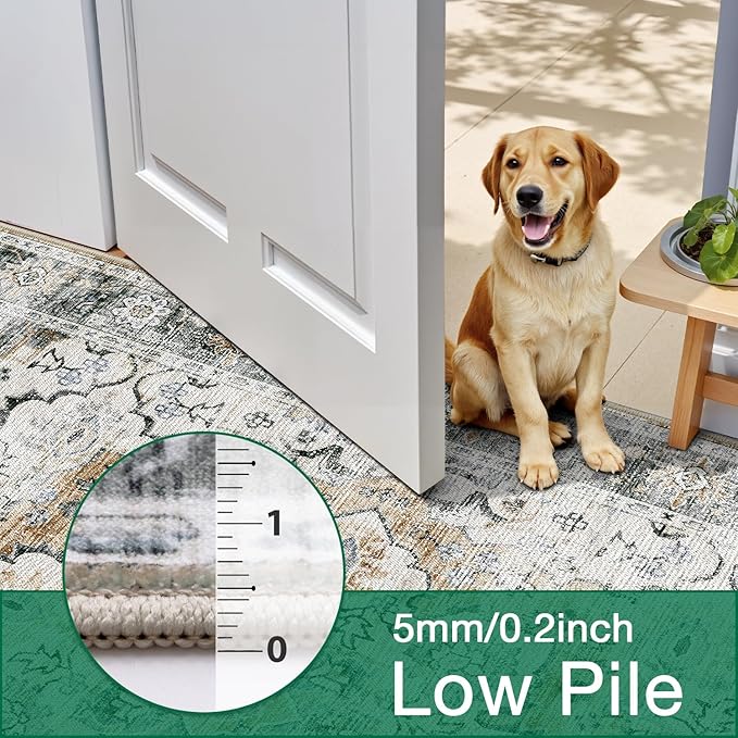 LUMI Washable Area Rug 8x10 for Living Room, Ultra Soft Stain Resistant Carpet with Non Slip Rubber Backing, Non-Shedding Low Pile Rugs for Bedroom, Dining Room, Indoor, Office