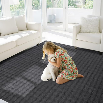 CAMILSON Modern Dark Gray Non Slip Rug 4x6 Ultra Soft High Pile Area Rugs Non Skid Rubber Backing Durable & Easy to Clean Carpet for Living Room Bedroom Kids Room Indoor Use (4 x 6 Dark Gray)