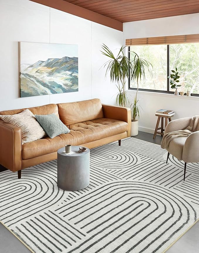 Lahome Abstract Washable Area Rug, 5x7 Rug for Bedroom Non-Slip Soft Living Room Rug, Ultra-Thin Modern Black and White Rug Throw Large Carpet for Dining Room (5'x7',Black)