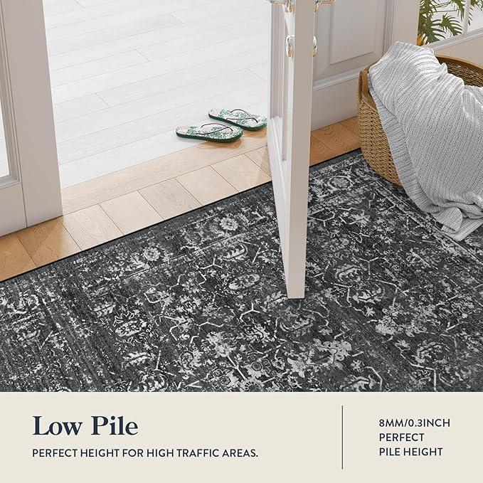 Lahome 5x7 Washable Black Area Rugs for Living Room, Non Slip Bedroom Rug, Stain Resistant Floor Dining Room Carpet for Office Entrance Decor