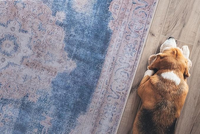 GLN Rugs Traditional Collection - Machine Washable Area Rug, Traditional Washable, Non Slip, Low Pile Chenille Rug, Living Room, Bedroom, Kitchen Rug (8' x 10' Cream/Navy)
