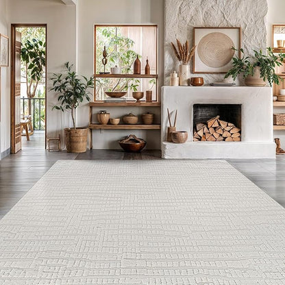 Modern Micro Loop Indoor Area Rugs for Living Room Bedroom Kitchen Geometric Pebble White 8x10 Luxury Durable Low and High Pile Non-Shedding Stain Resistant Soft Area Carpet 8 x 10