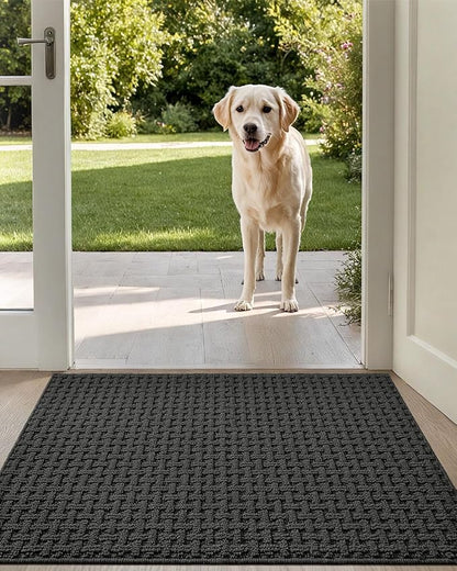 DEXI Front Entryway Door Mat Non Slip 24x36, Washable Entry Way Mats Inside Entrance Low Profile, Welcome Doormat Dirt Trapper for House Floor Home Porter Hall Backdoor Area, Dark Grey