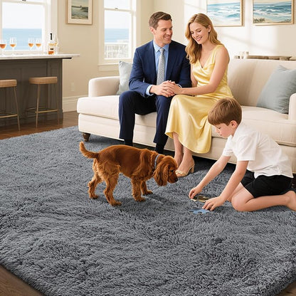 Fluffy Rug Shaggy Area Rug, Dark Grey 4x6 Area Rugs for Bedroom, Small Bedside Rug, Soft Fluffy Shaggy Entryway Throw Rugs for Living Room Bedroom Kids Room Home Decor
