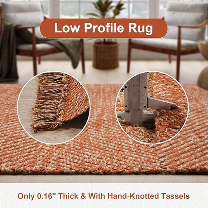 Collive Washable Area Rug 3' x 5', Modern Woven Kitchen Rugs, Terracotta Braided Cotton Rug Indoor Door Mat Throw Carpet for Entryway Living Room Nursery Laundry Room