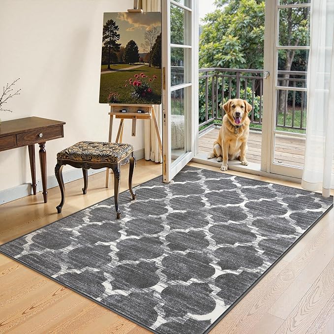 Lahome Moroccan Washable Area Rugs for Living Room - 4x6 Rug Non-Slip Lightweight Soft Bedroom Carpet Throw Low-Pile ‎Stain Resistant Entryway Rug, Grey Print Modern Rug for Office Kitchen Dining Room