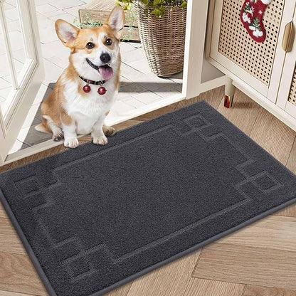 BEQHAUSE Door Mat 20" x 32", Non-Slip Door Mats Indoor Entryway Rugs Washable Low-Profile Absorbent and Stain Resist Floor Mats, Dog Door Mat for Front Back Door, Muddy Wet Shoes & Paws, Dark Grey
