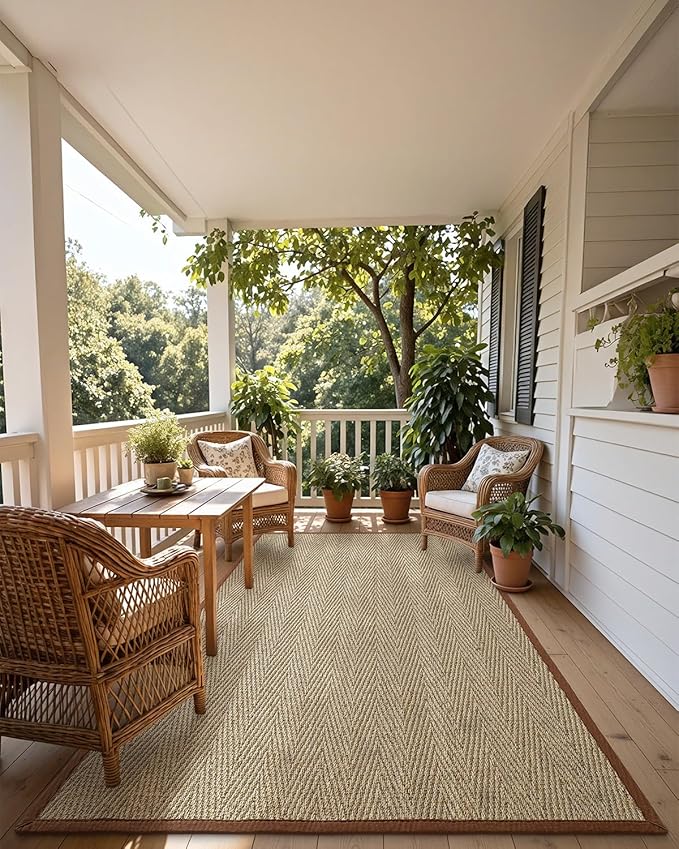DEXI Area Rug Natural Fiber 4x6, Braided Woven Seagrass Rugs No Shed, Soft Neutral Rustic Carpet Mat for Indoor Entryway Outdoor Patio Dining Living Room Bedroom Farmhouse, Natural